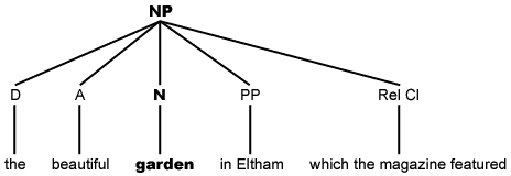 phrase structure diagram showing break down of NP into head and four dependents