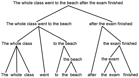phrase structure diagram showing the hierarchical structure of the sentence 'The whole class went to the beach after the exam finished' from sentence to word level